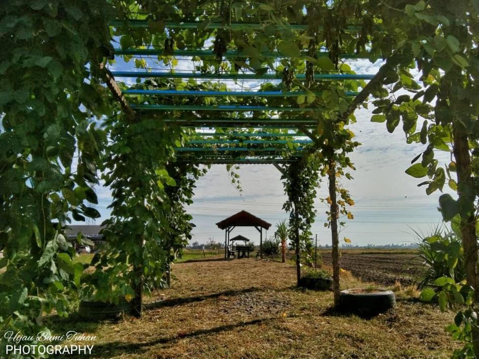 Tamteh Homestay Ayer Hitam Exterior foto